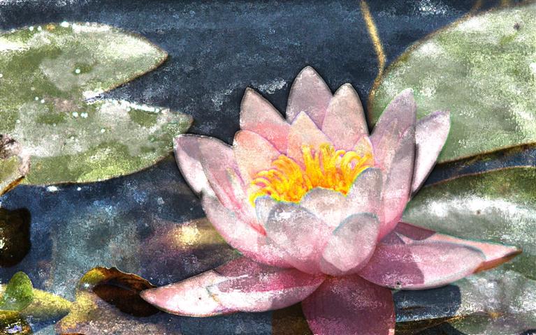 water lily watercolor handpaint