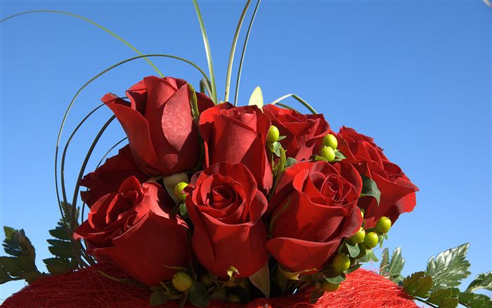red roses bouquet 