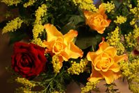yellow rose and red rose bouquet 
