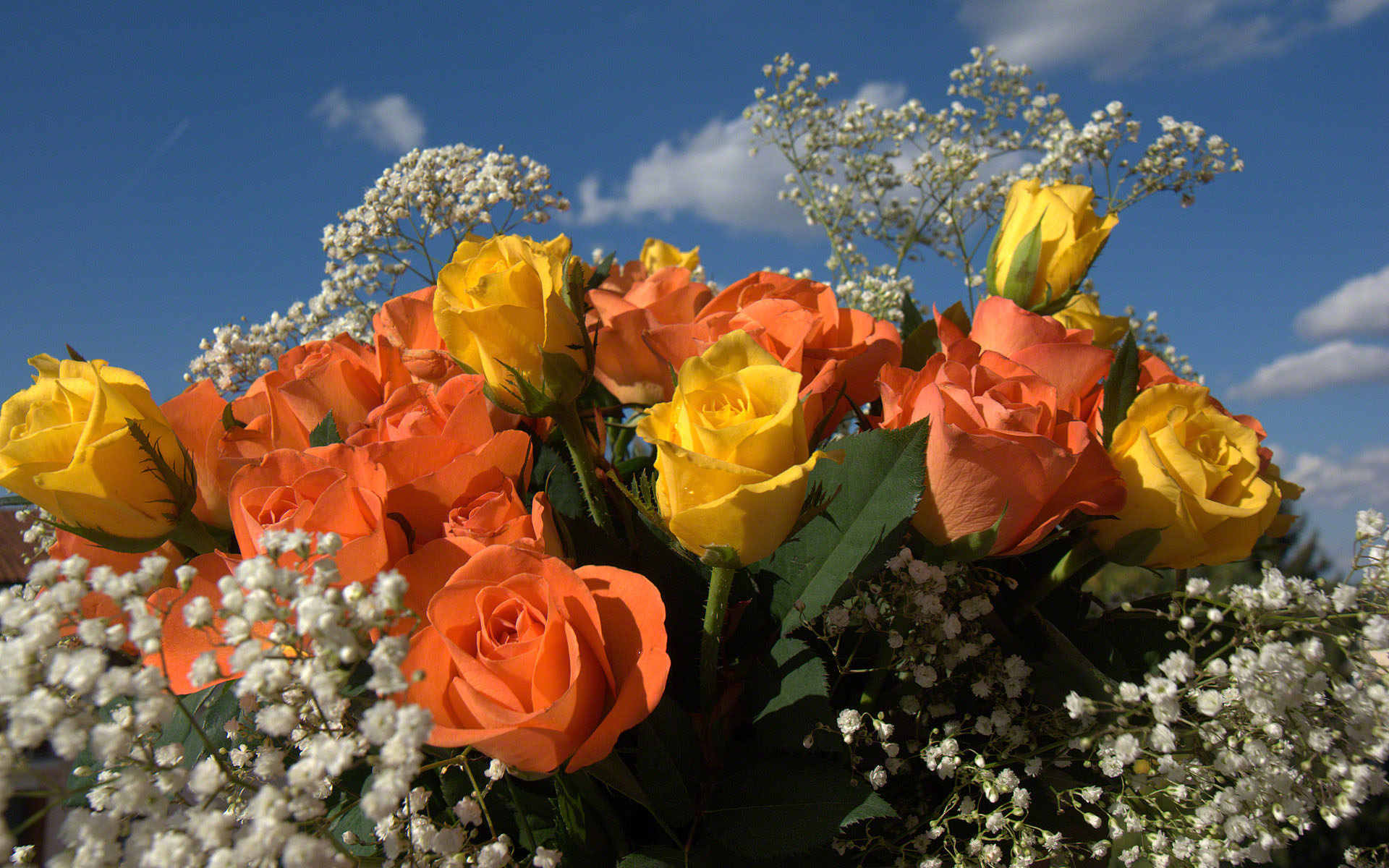 Yellow and orange roses bouquet