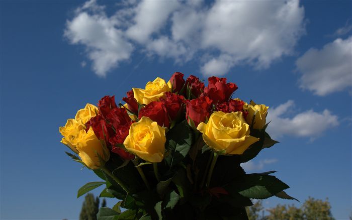 Yellow and red roses bouquet 