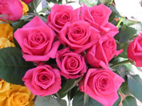 Pink Roses Wallpaper Bouquet 