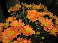 Orange Roses Wallpaper Bouquet 