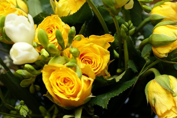 Yellow rose bouquet 