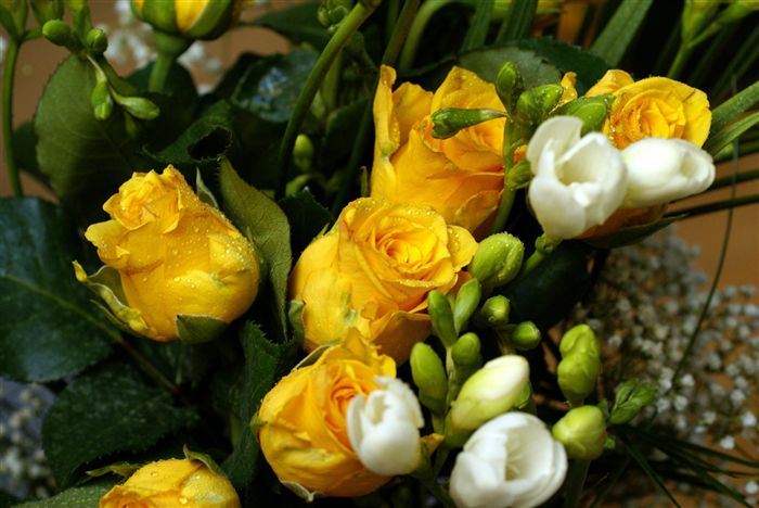 Yellow rose bouquet with freesia 