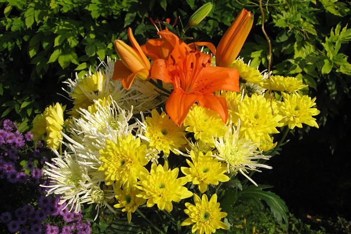 Lilium bouquets photo 