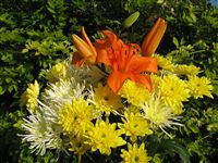 Lilium bouquet with yellow mums 