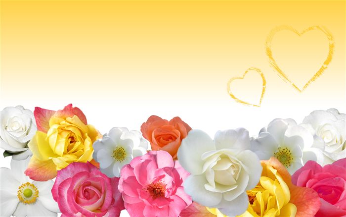 Flower Love Wallpaper in Yellow 