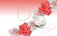 Romantic rose wallpaper 