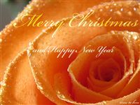 Mery Christmas and happy new year Ecard 