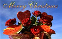 Merry Christmas rose ecard 