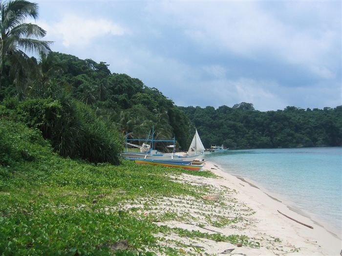 Ilig Iligan Beach vegetation 