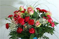 Roses bouqet with red carnations 