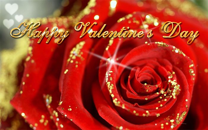 Happy Valentine's Day red rose 