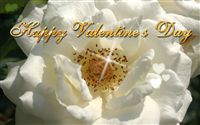 Valentines  Ecard on Happy Valentine S Day Ecard With A White Rose A Message Of Pure Love
