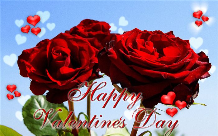 Rose Happy Valentine's Day ecard 