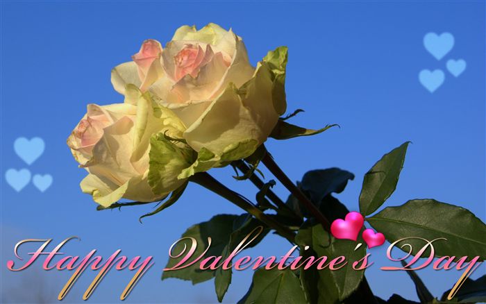 Roses Happy Valentine's Day ecard 