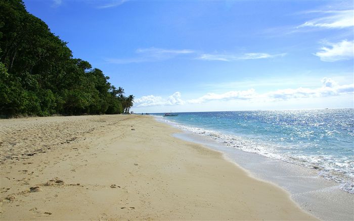 tropical beach scenery 