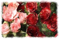 watercolor roses 