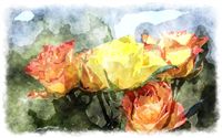 roses watercolor 