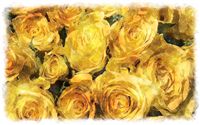 yellow roses bouquet watercolor 