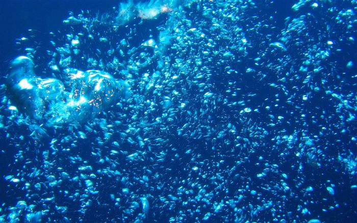 underwater bubbles wallpaper 